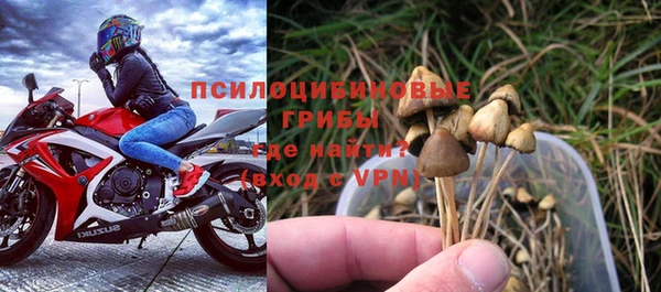 каннабис Новодвинск